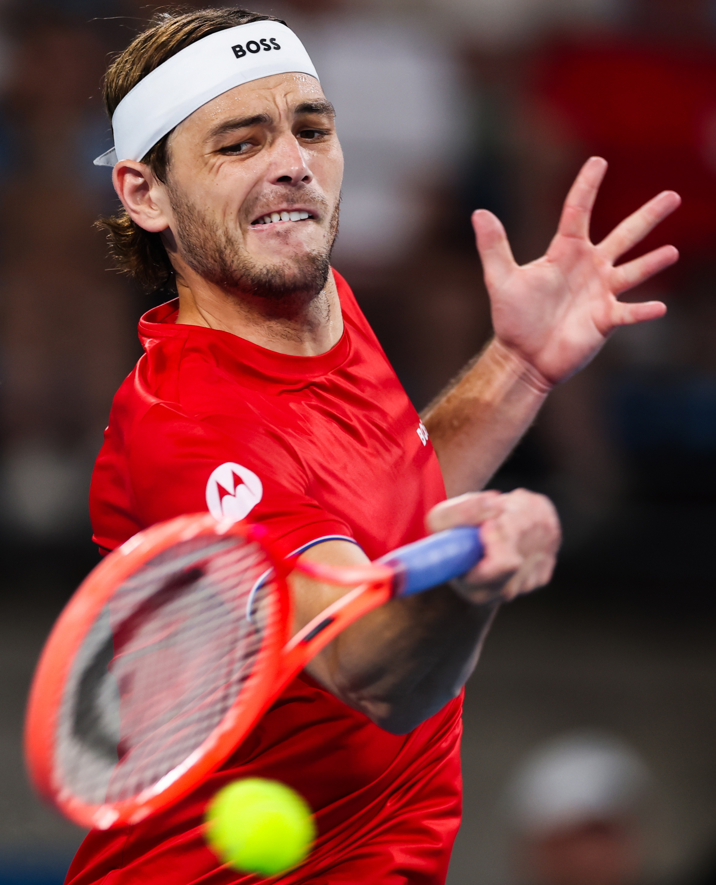 关于澳大利亚队表现出色实力展现无遗取得成功的信息 关于澳大利亚队表现出色实力展现无遗取得成功的信息